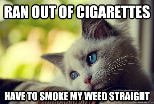 Ran out of cigarettes have to smoke my weed straight  First World Problems Cat