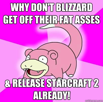 why don't blizzard get off their fat asses & release starcraft 2 already!  Slowpoke