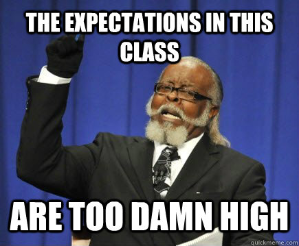 The expectations in this class are too damn high  Too Damn High
