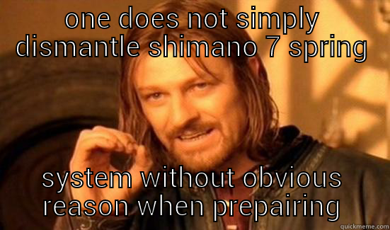 ONE DOES NOT SIMPLY DISMANTLE SHIMANO 7 SPRING SYSTEM WITHOUT OBVIOUS REASON WHEN PREPAIRING Boromir