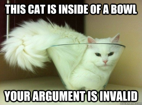 This cat is inside of a bowl Your argument is invalid - This cat is inside of a bowl Your argument is invalid  Catyda