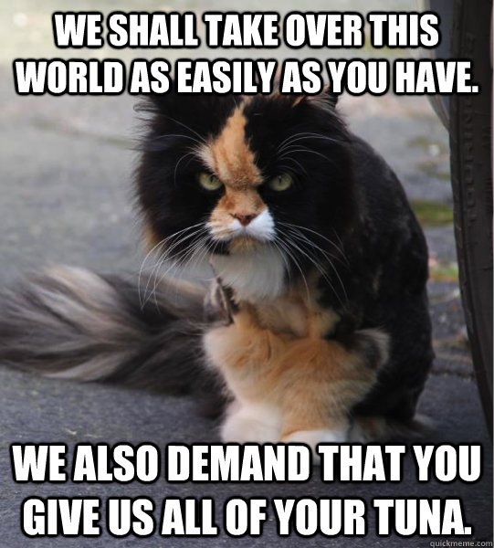We shall take over this world as easily as you have. We also demand that you give us all of your tuna.  Evil Cat
