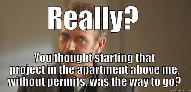 REALLY? YOU THOUGHT STARTING THAT PROJECT IN THE APARTMENT ABOVE ME, WITHOUT PERMITS, WAS THE WAY TO GO? Misc