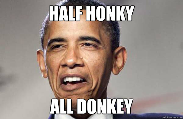 Half Honky All Donkey  