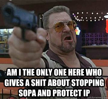  Am I the only one here who gives a SHIT ABOUT STOPPING SOPA AND PROTECT IP   Pedantic Walter