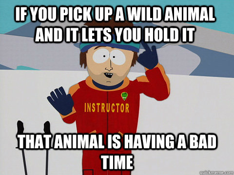 If you pick up a wild animal and it lets you hold it  that animal is having a bad time  Youre gonna have a bad time