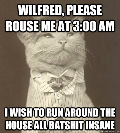 Wilfred, please rouse me at 3:00 AM I wish to run around the house all batshit insane  Aristocat