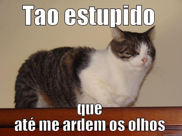 TAO ESTUPIDO QUE ATÉ ME ARDEM OS OLHOS Misc