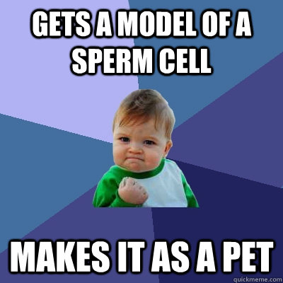 Gets a Model of a sperm cell Makes it as a pet  Success Kid