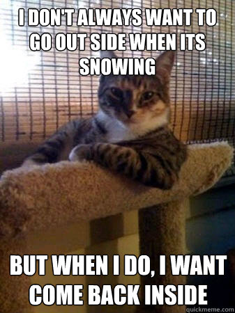 I don't always want to go out side when its snowing  but when I do, i want come back inside   The Most Interesting Cat in the World