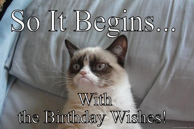 SO IT BEGINS... WITH THE BIRTHDAY WISHES!  Grumpy Cat