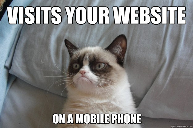 visits your website on a mobile phone  GrumpyCatOL