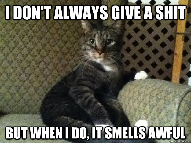 I don't always give a shit  But when I do, it smells awful  
