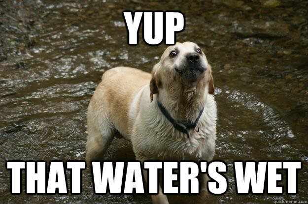Yup that water's wet - Yup that water's wet  Cpt. Dogvious