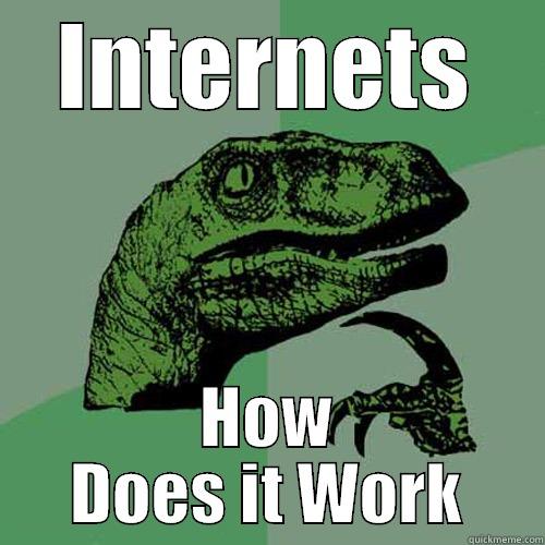 INTERNETS HOW DOES IT WORK Philosoraptor