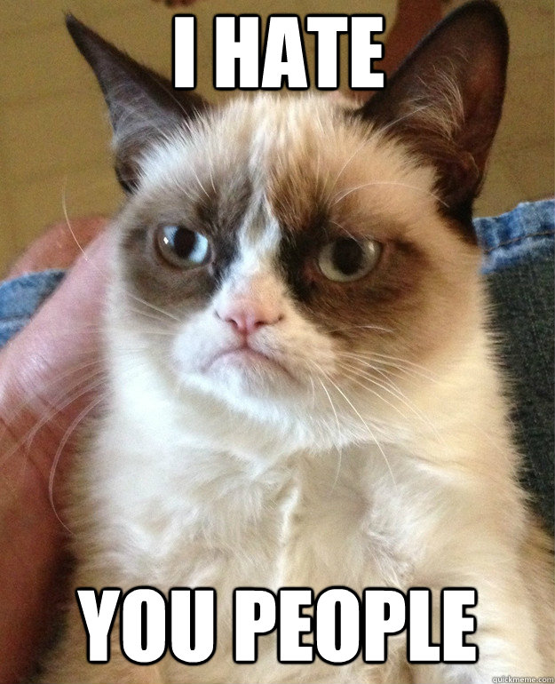 I hate you people  Grumpy Cat