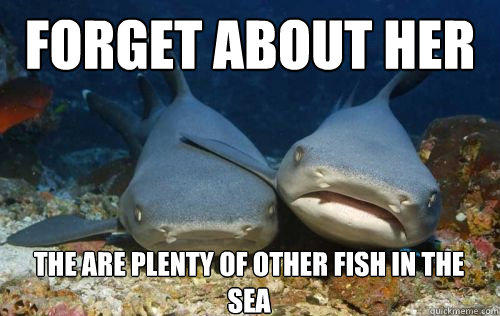 Forget about her the are plenty of other fish in the sea  Compassionate Shark Friend