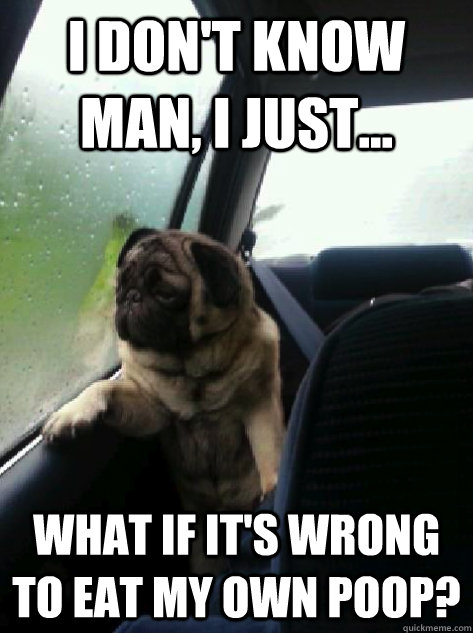 I don't know man, I just... What if it's wrong to eat my own poop?  Introspective Pug