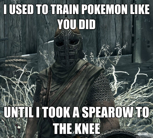 I used to train Pokemon like you did Until I took a Spearow to the knee  Skyrim Guard