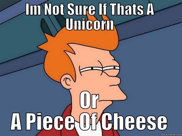 IM NOT SURE IF THATS A UNICORN OR A PIECE OF CHEESE Futurama Fry