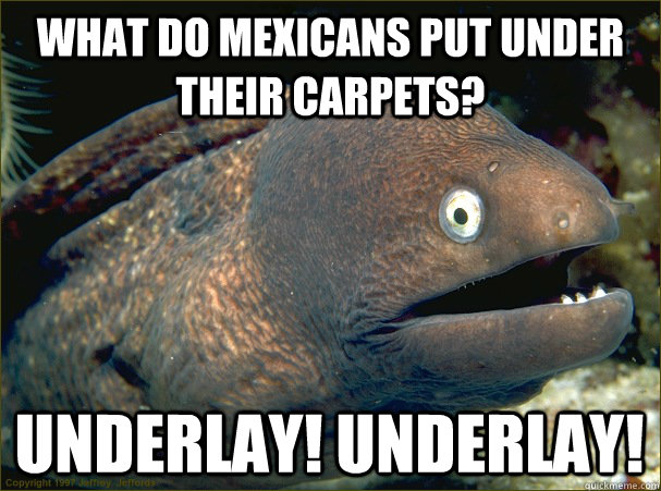 What do Mexicans put under their carpets? UNDERLAY! UNDERLAY! - What do Mexicans put under their carpets? UNDERLAY! UNDERLAY!  Bad Joke Eel