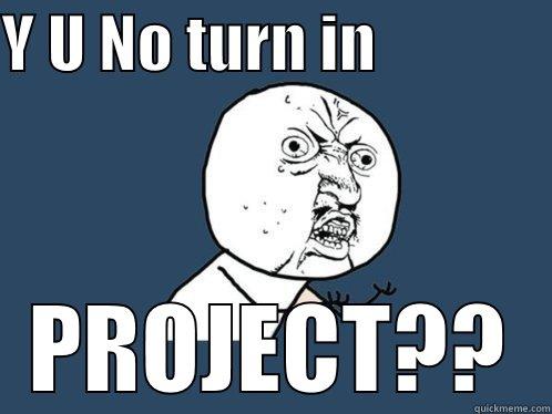 Y U NO TURN IN               PROJECT?? Y U No