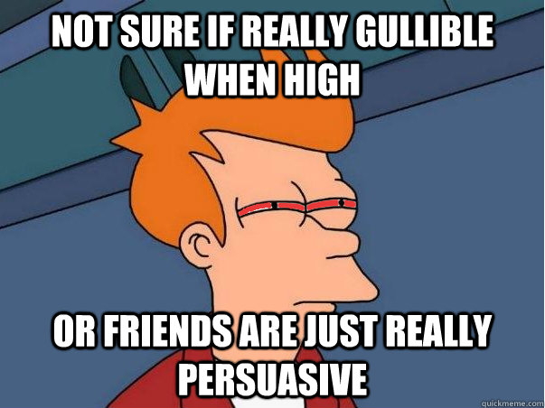 Not sure if really gullible when high Or friends are just really persuasive - Not sure if really gullible when high Or friends are just really persuasive  High Fry