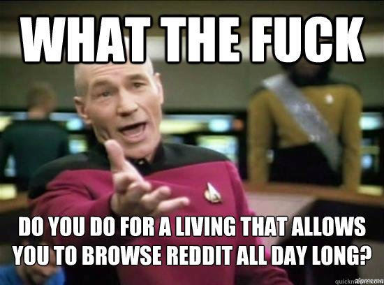 What the fuck do you do for a living that allows you to browse reddit all day long?  Annoyed Picard HD