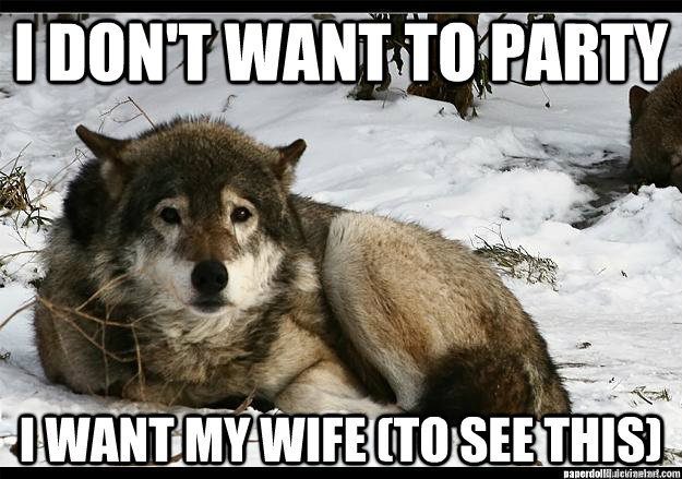 I don't want to party i want my wife (to see this) - I don't want to party i want my wife (to see this)  Misc