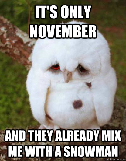 It's only November And they already mix me with a snowman  Depressed Owl