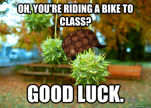 Oh, You're riding a bike to class? good luck. - Oh, You're riding a bike to class? good luck.  Scumbag Sweet Gum