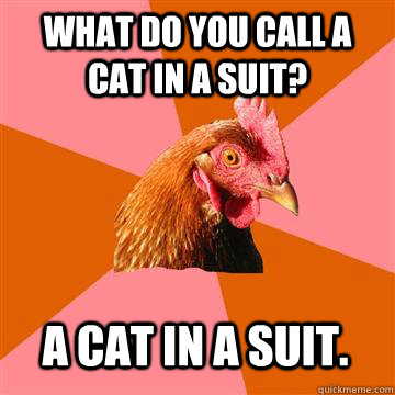 What do you call a cat in a suit? A cat in a suit.  Anti-Joke Chicken