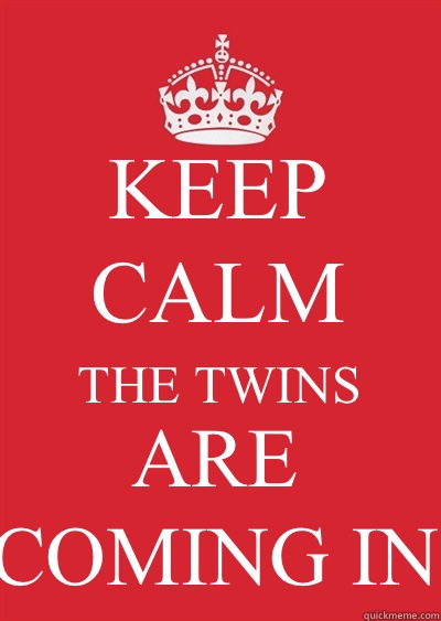KEEP CALM THE TWINS ARE COMING IN  Keep calm or gtfo