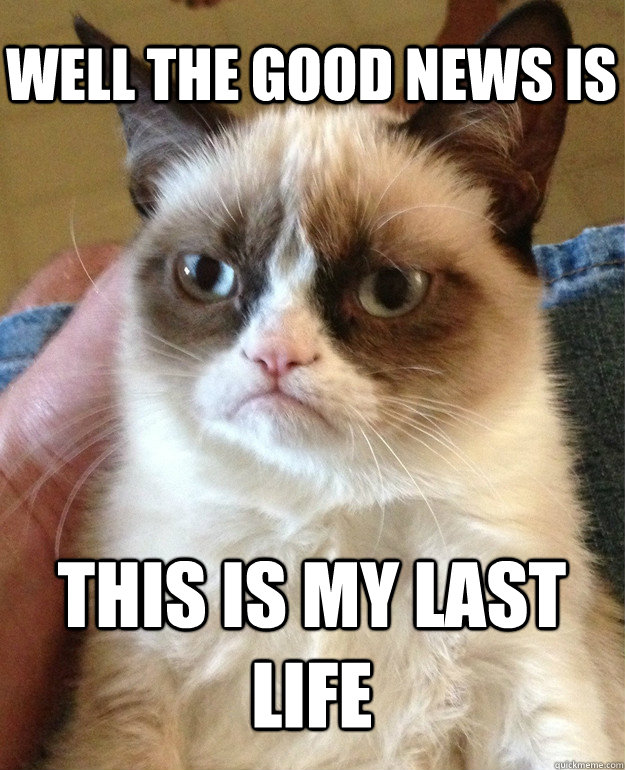 well the good news is this is my last life - well the good news is this is my last life  Grumpy Cat