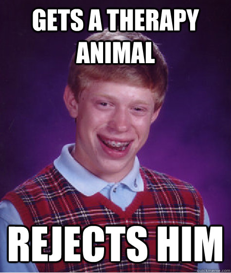 GETS A THERAPY ANIMAL REJECTS HIM  Bad Luck Brian