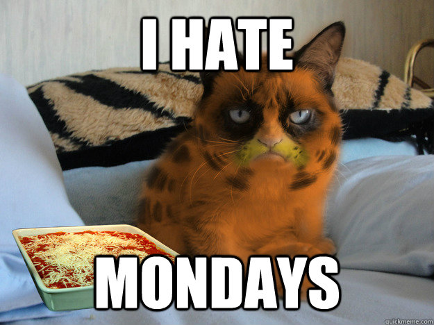 I hate mondays - I hate mondays  Tardfield