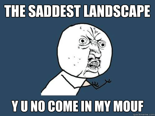 The Saddest Landscape y u no come in my mouf  Y U No