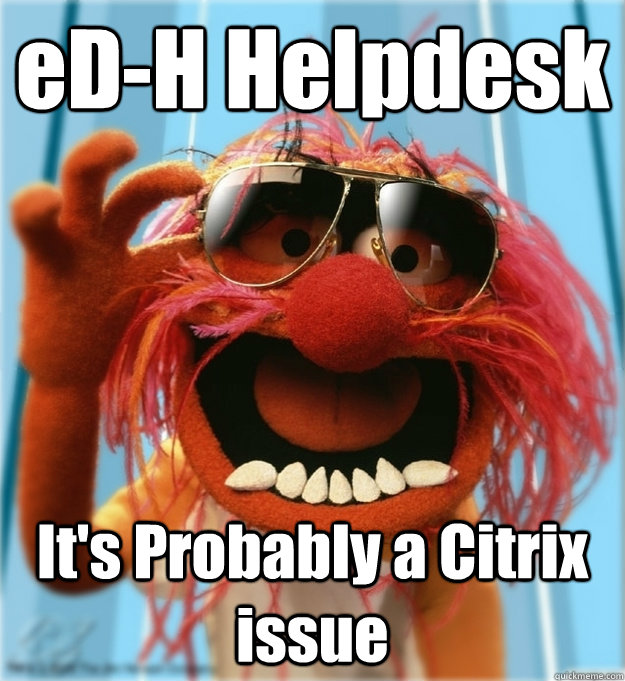 eD-H Helpdesk It's Probably a Citrix issue  Advice Animal