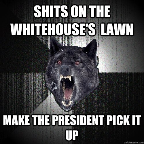 shits on the whitehouse's  lawn make the president pick it up  Insanity Wolf