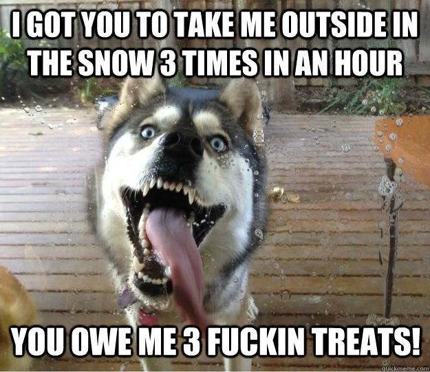 I got you to take me outside in the snow 3 times in an hour you owe me 3 fuckin treats!  Overly Attached Dog