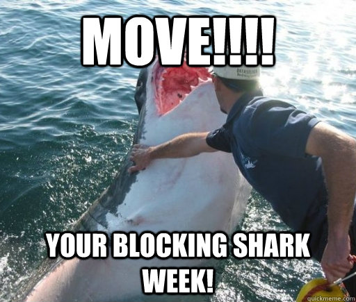 MOVE!!!! Your blocking shark week!  