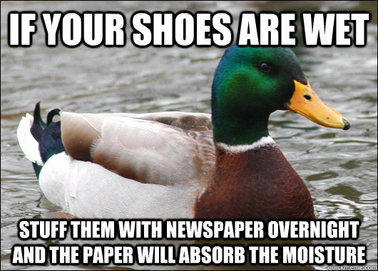 If your shoes are wet stuff them with newspaper overnight and the paper will absorb the moisture - If your shoes are wet stuff them with newspaper overnight and the paper will absorb the moisture  Actual Advice Mallard