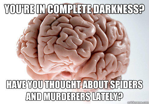 YOU'RE IN COMPLETE DARKNESS? HAVE YOU THOUGHT ABOUT SPIDERS AND MURDERERS LATELY? - YOU'RE IN COMPLETE DARKNESS? HAVE YOU THOUGHT ABOUT SPIDERS AND MURDERERS LATELY?  Scumbag Brain