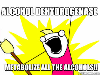 alcohol dehydrogenase metabolize all the alcohols!!  All The Things