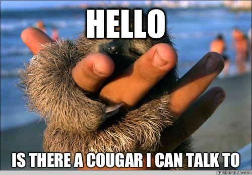 Hello Is there a cougar I can talk to   cute baby sloth