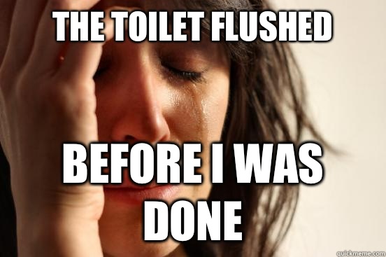 The toilet flushed  Before I was done  First World Problems