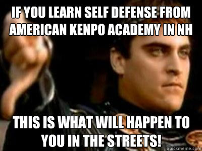 if you learn self defense from American Kenpo Academy in NH This is what will happen to you in the streets!  Downvoting Roman