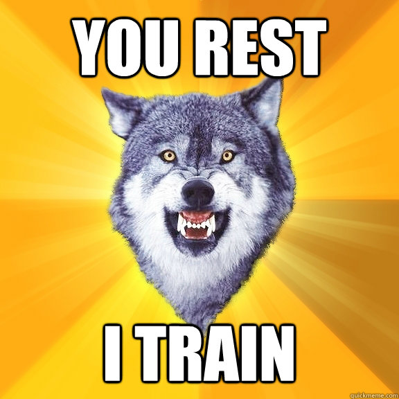 You Rest I train  Courage Wolf