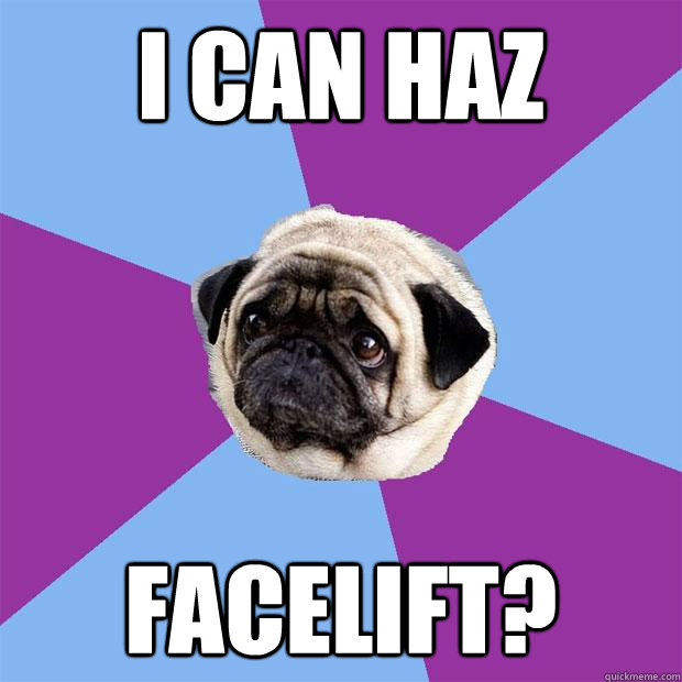 i can haz FACELIFT?  Lonely Pug