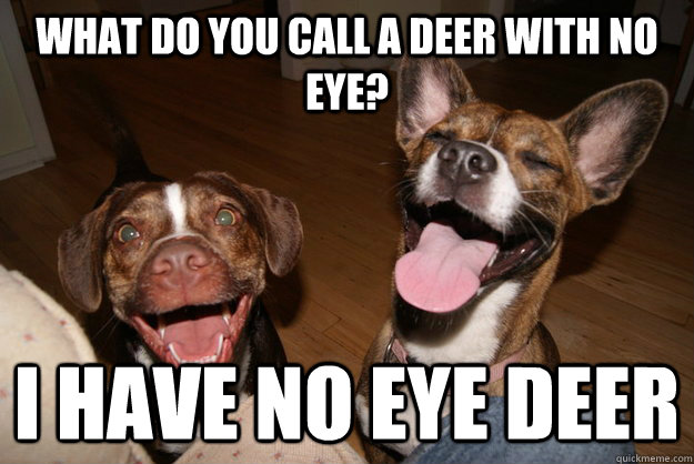 What do you call a deer with no eye? I have no eye deer - What do you call a deer with no eye? I have no eye deer  Clean Joke Puppies